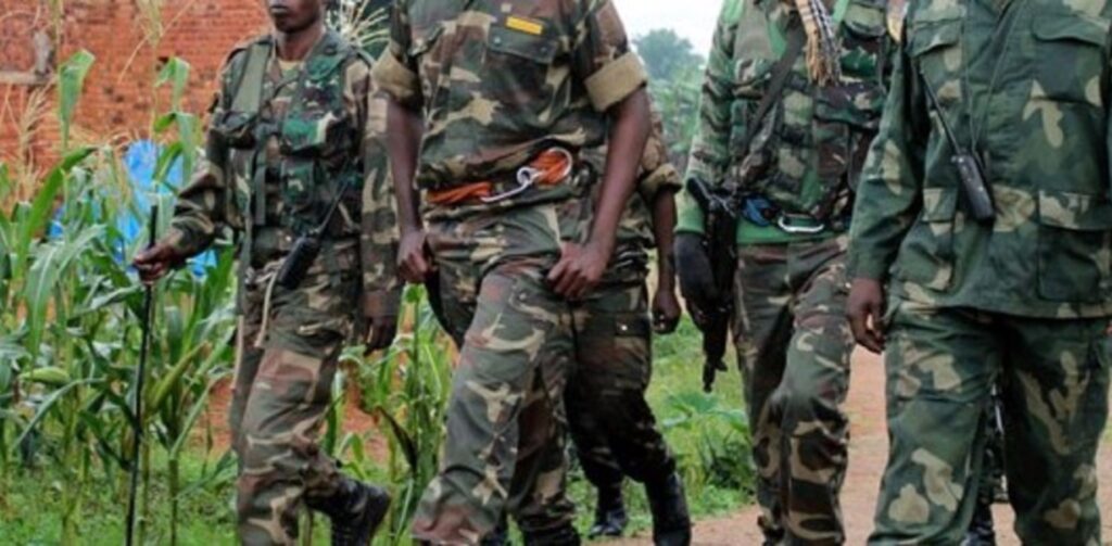 DRC: Wazalendo na FARDC barwanye inkundura - UMURUNGA